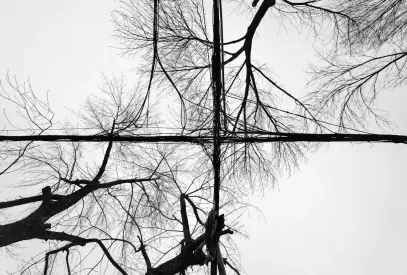 빌리언 카지노 모바일 앱